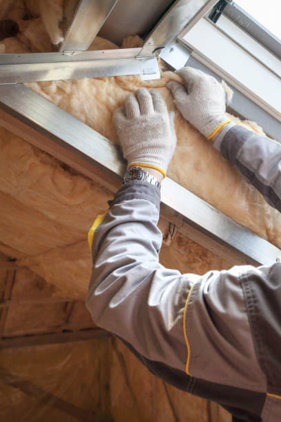 Eco-Friendly or Green Insulation Solutions in Pingree Grove, IL