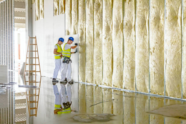 Best Blown-In Insulation  in Pingree Grove, IL